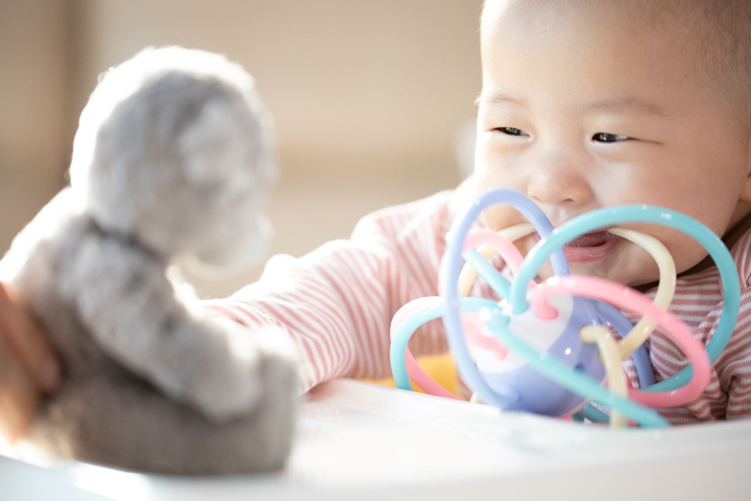 ของเล่นเด็กทารก